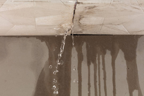Professional Structural Drying technician working in Avon, IN